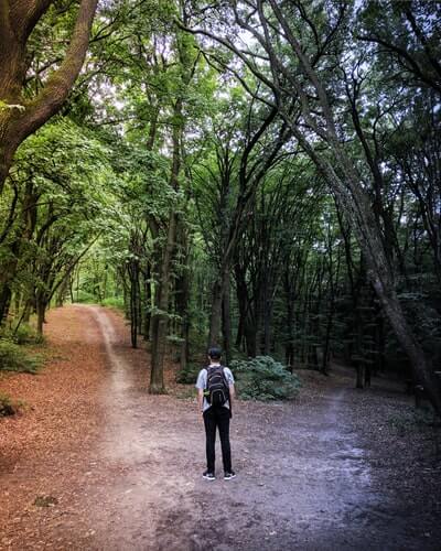 man making a decision about which way to go at a fork in the road